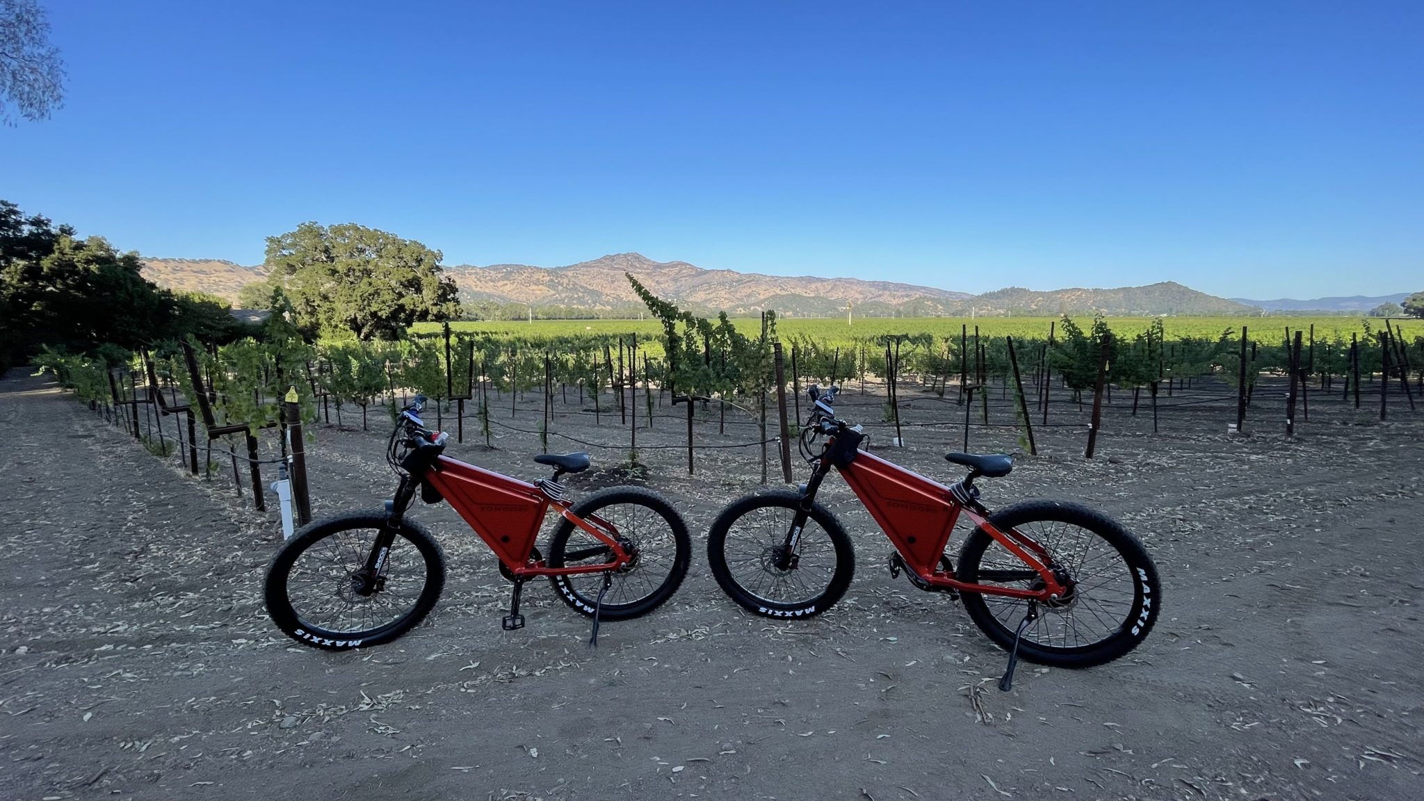 Napa Valley eBike Rentals
